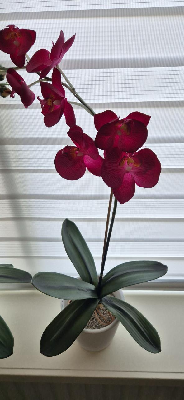 Kunstbloem orchideeën
