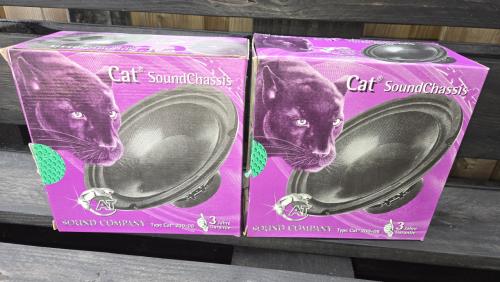 Auto speakers