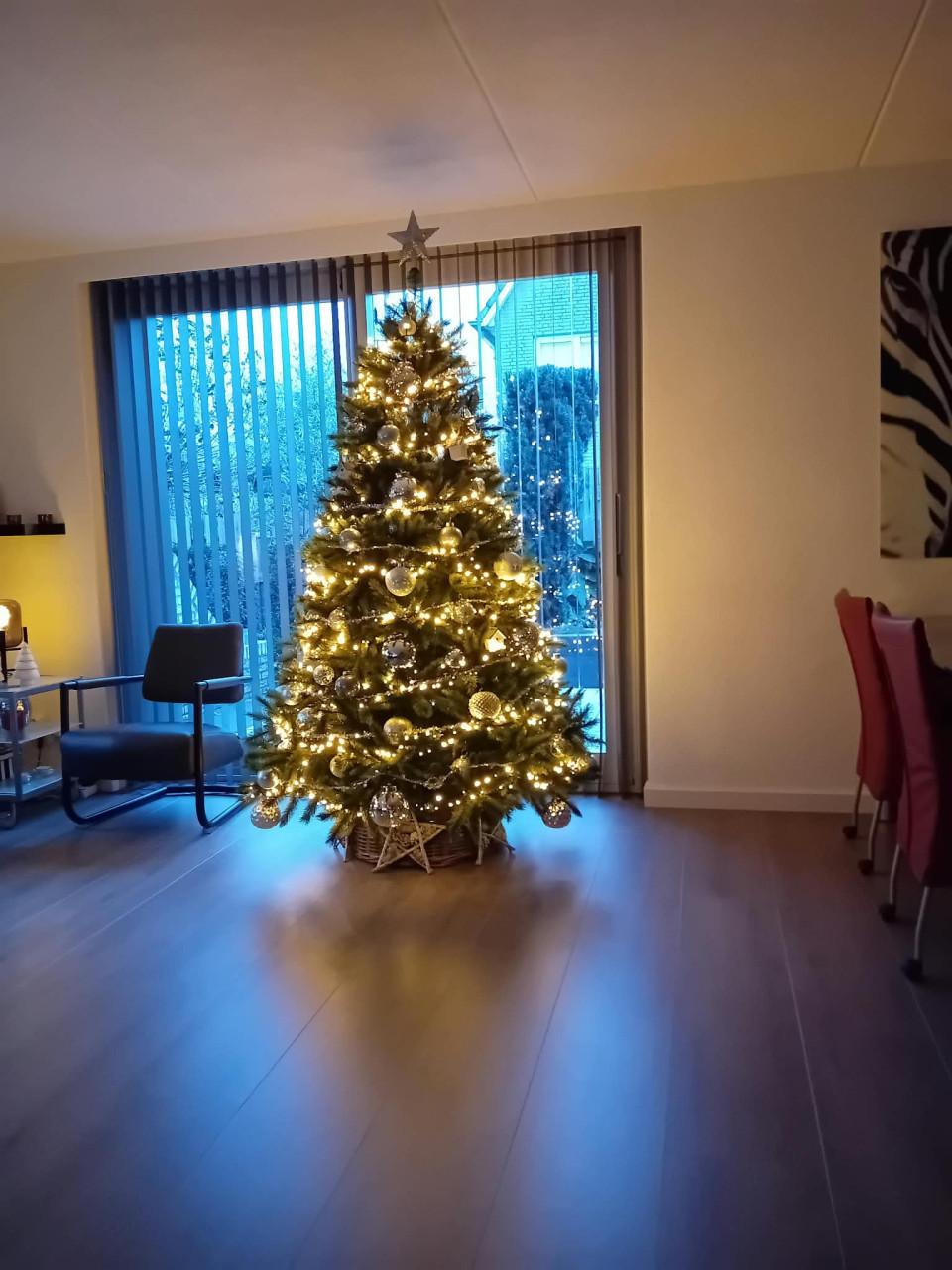 Prachtige Kunst Kerstboom - Compleet