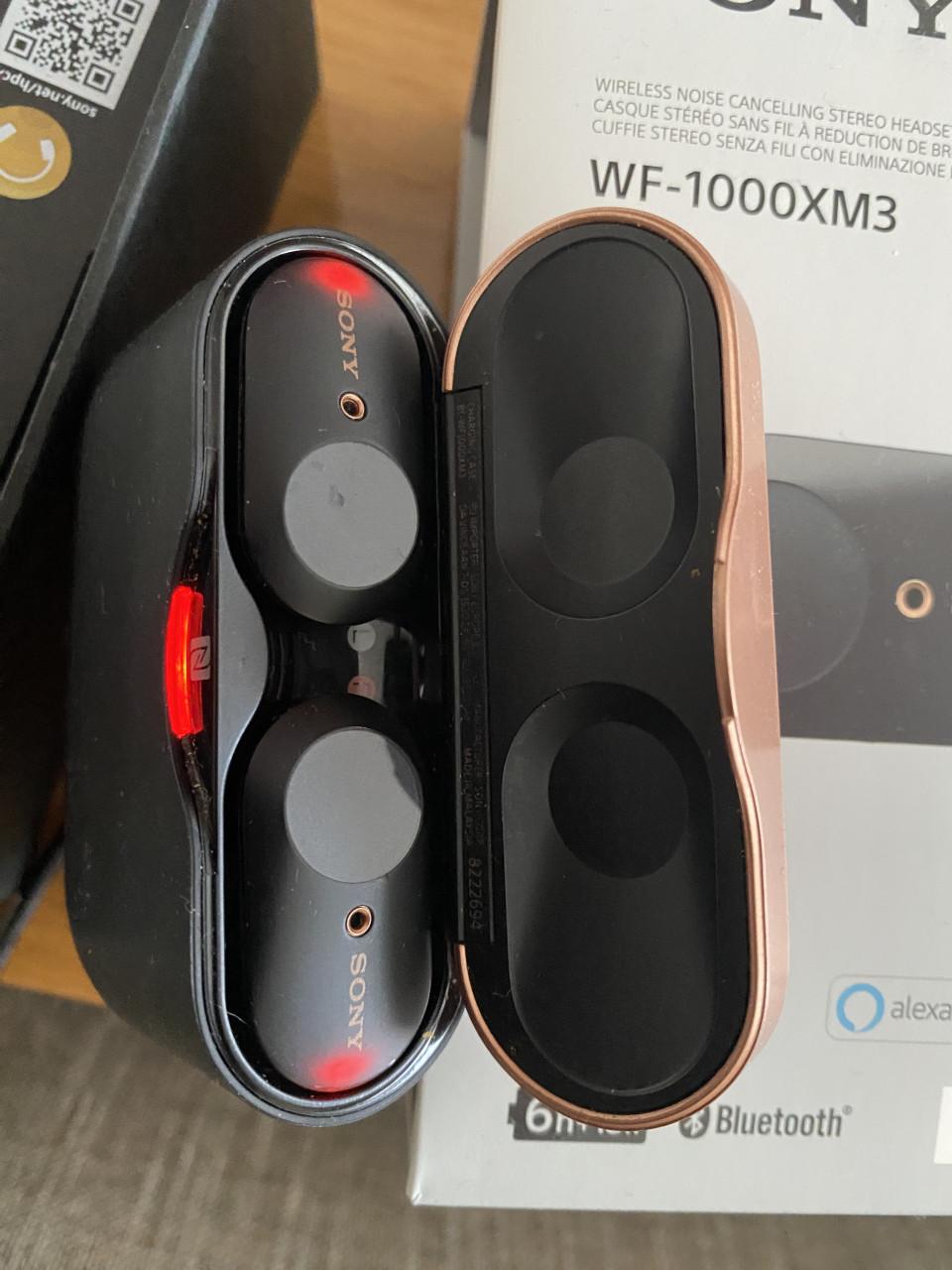 Sony WF-1000XM3 draadloze oordopjes