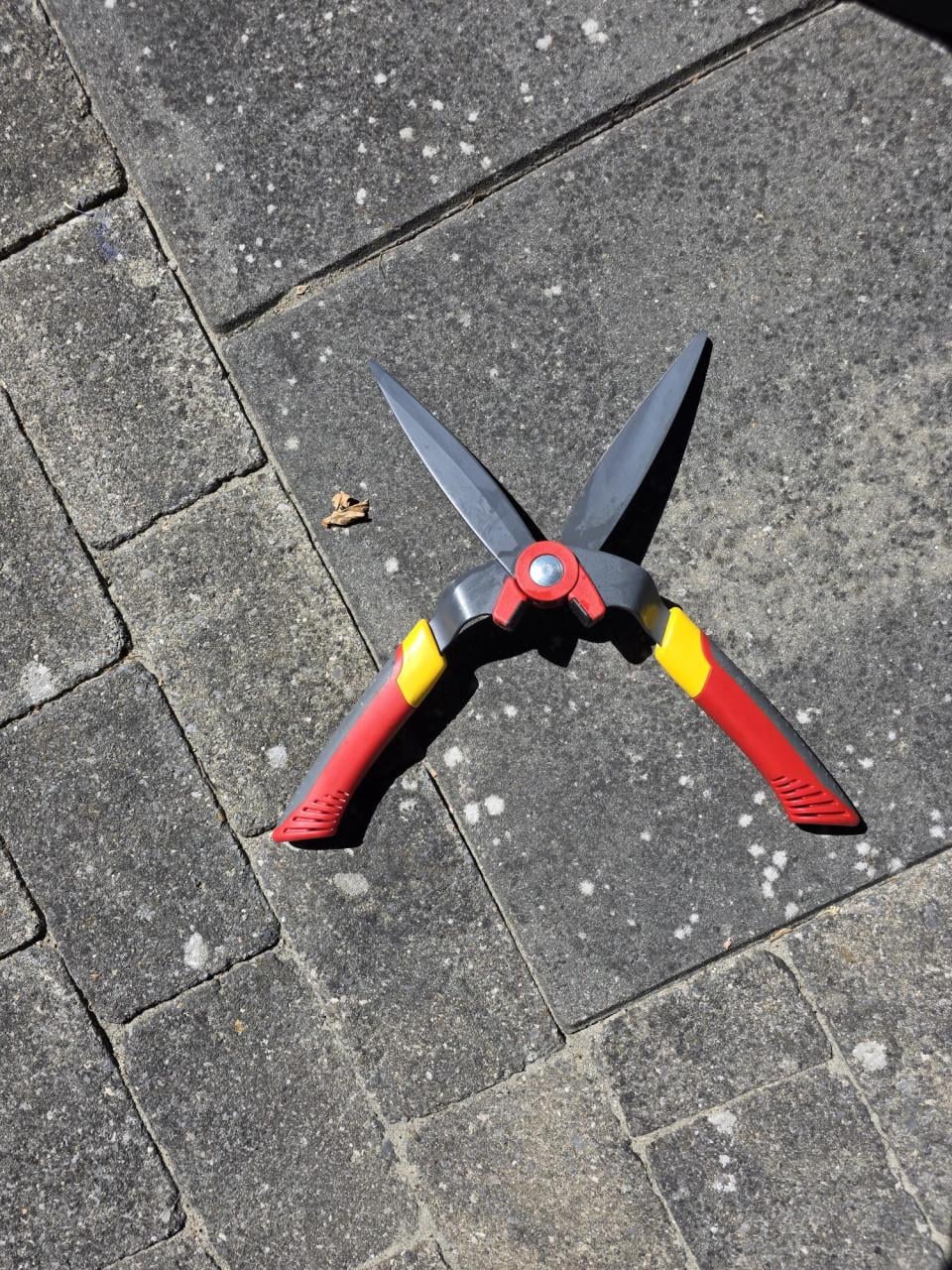Heggenschaar