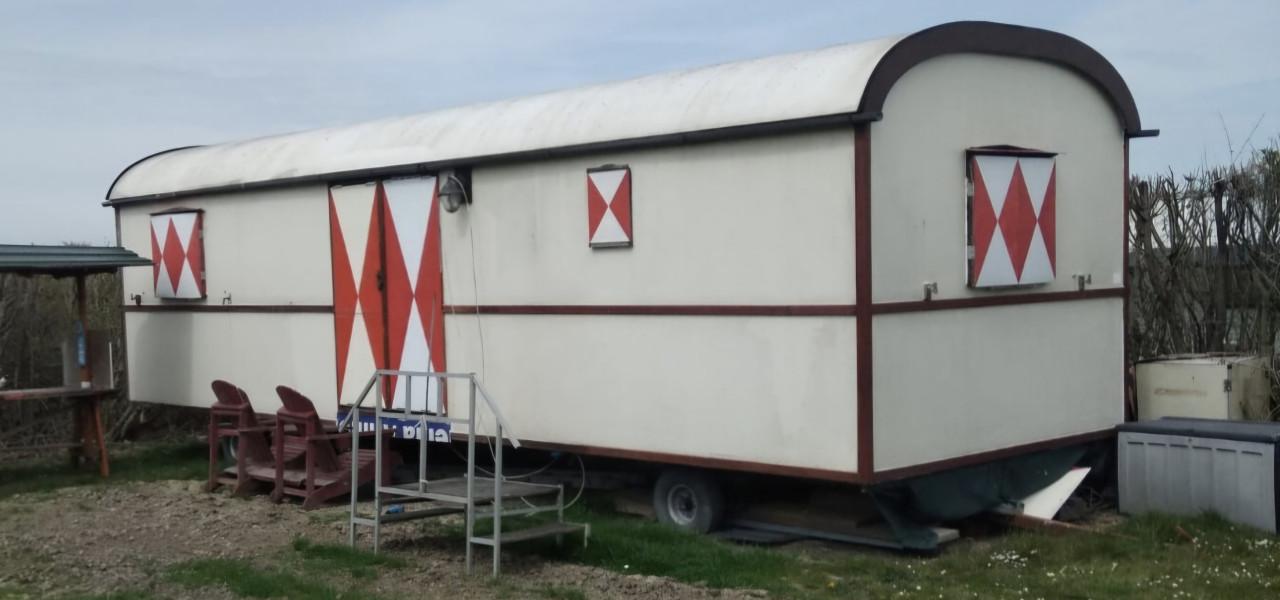 Pipowagen te koop