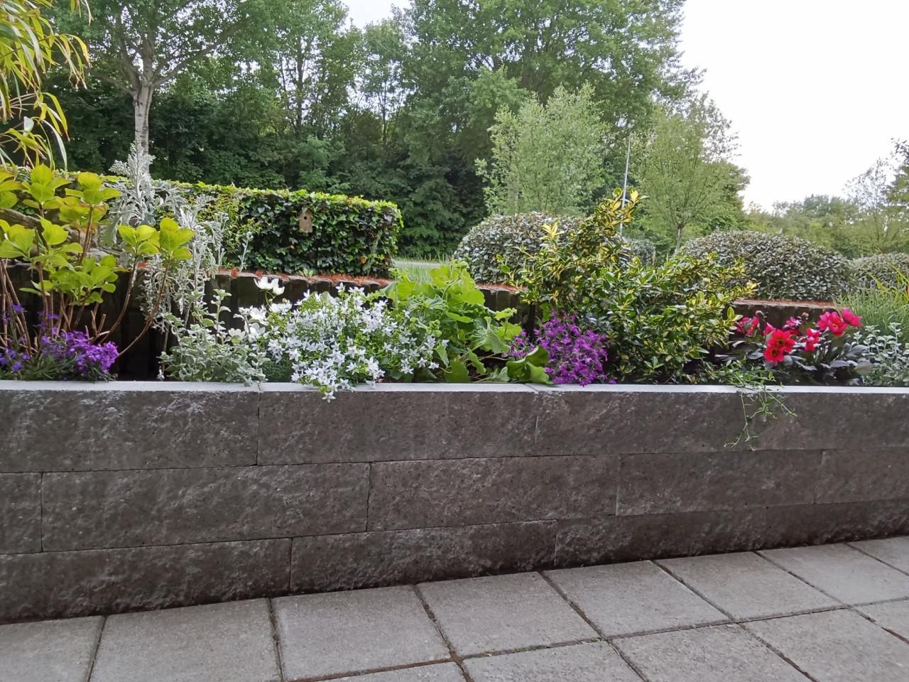 Tuinplannen? Wij helpen je graag!