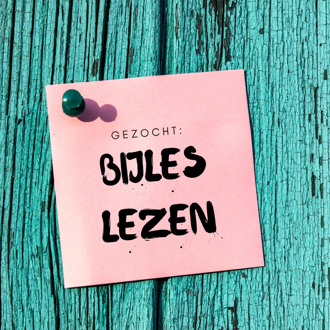 Gezocht: bijles lezen