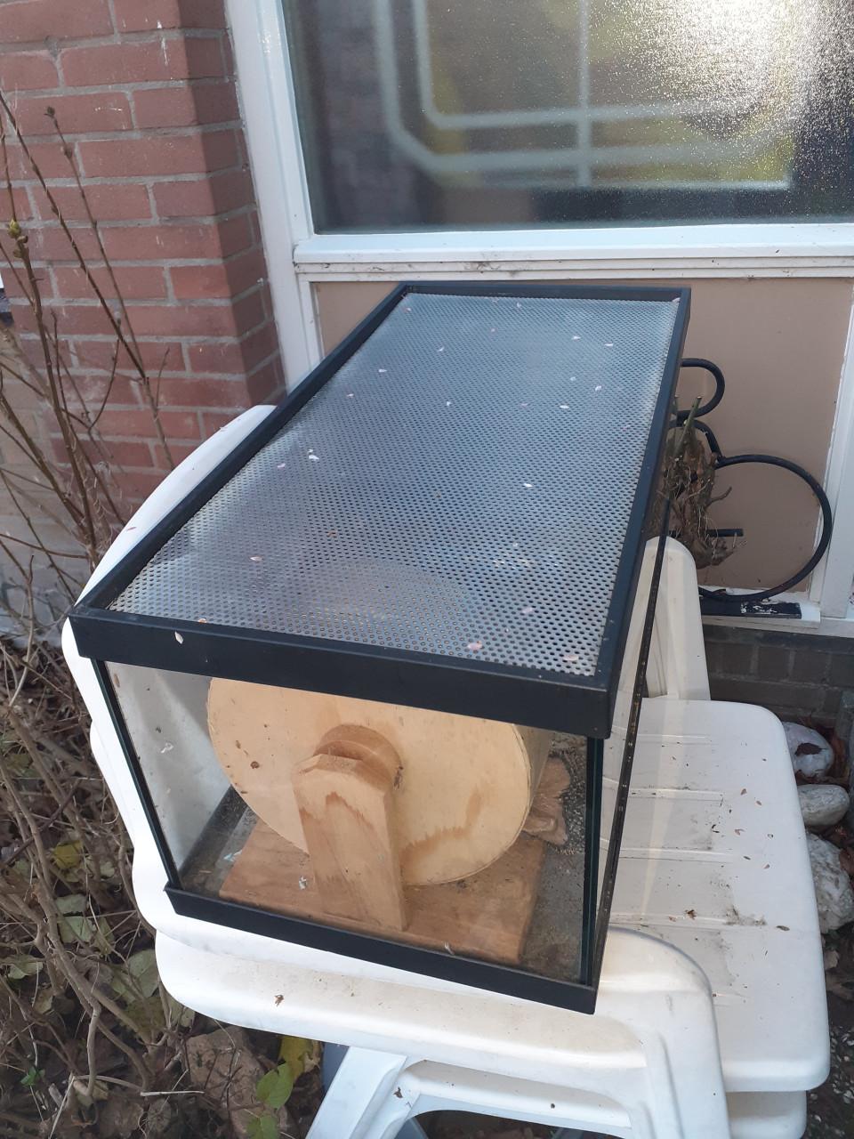 Aquarium ca. 55 liter ingericht voor hamsterkooi