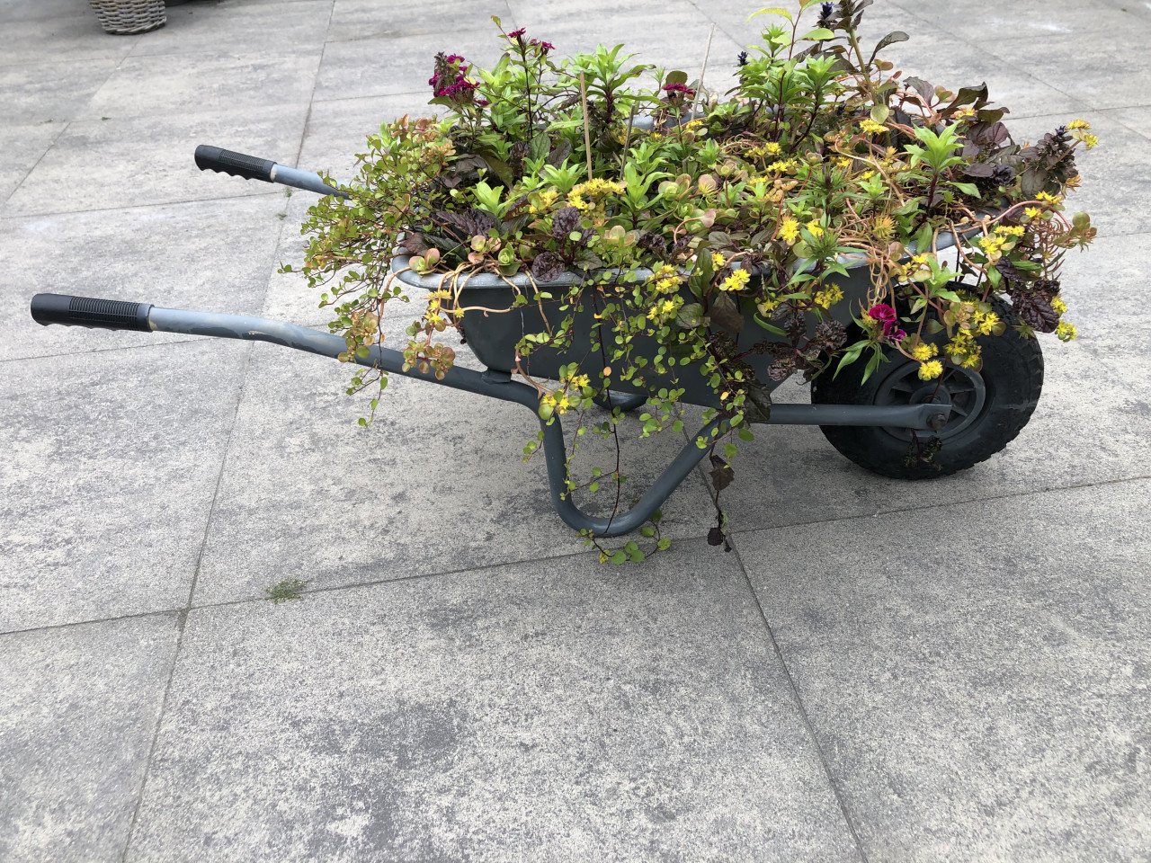 Kruiwagen plantenbak