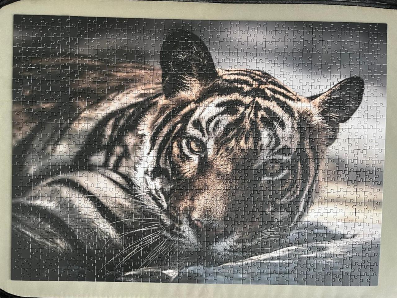 Puzzel Eye of the Tiger