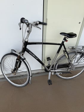 Fiets heren