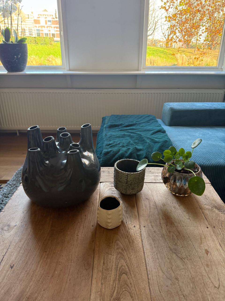 Verschillende potten