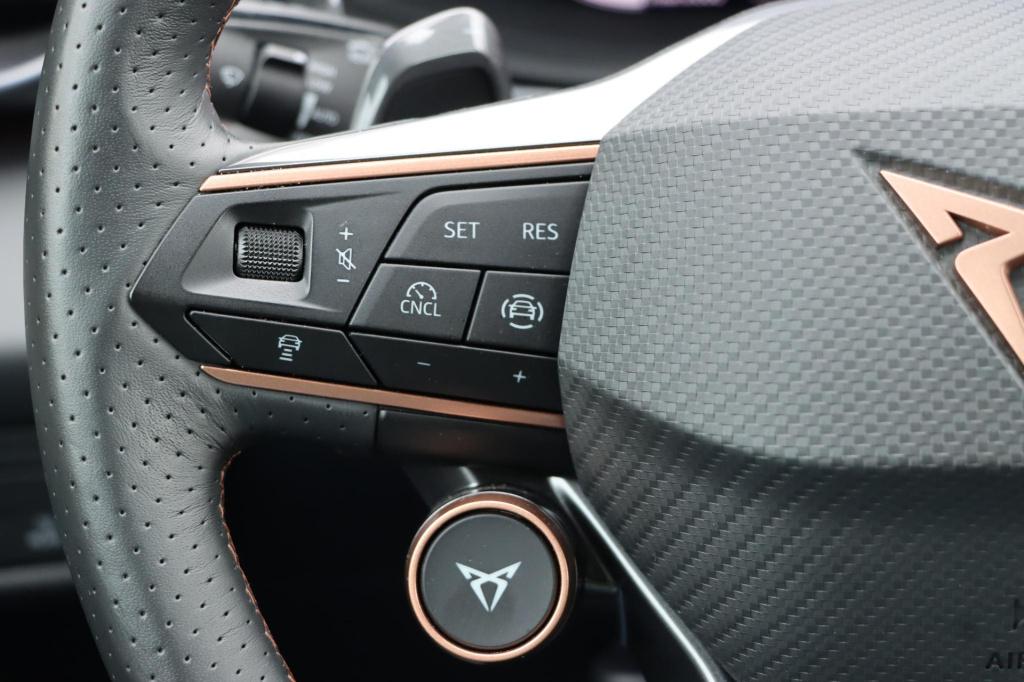 Cupra Terramar 1.5 tsi ehybrid business 204pk dsg6