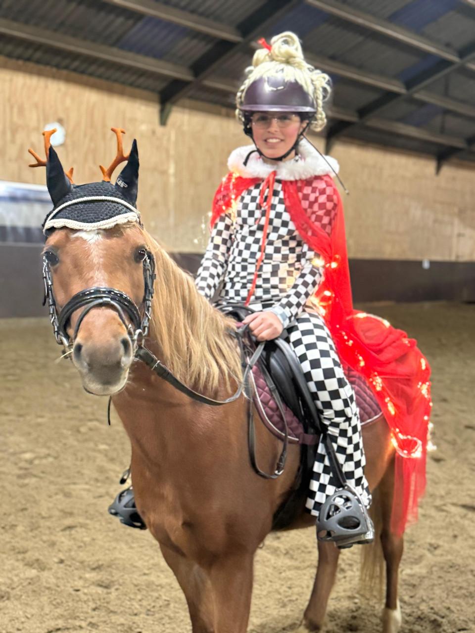 8 jarige B-welsh pony