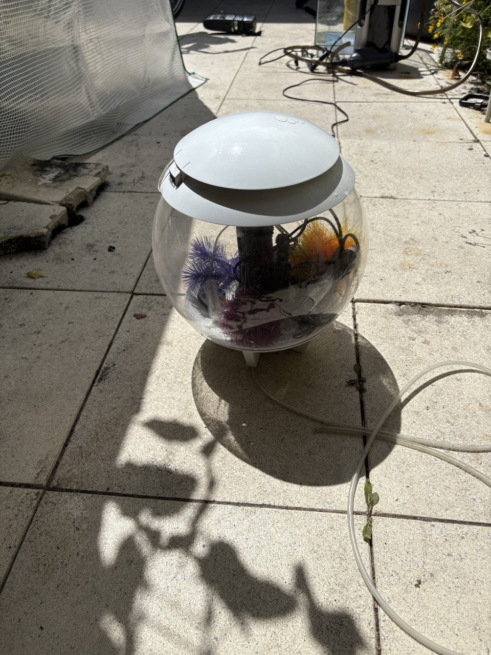 Biorb 15 liter