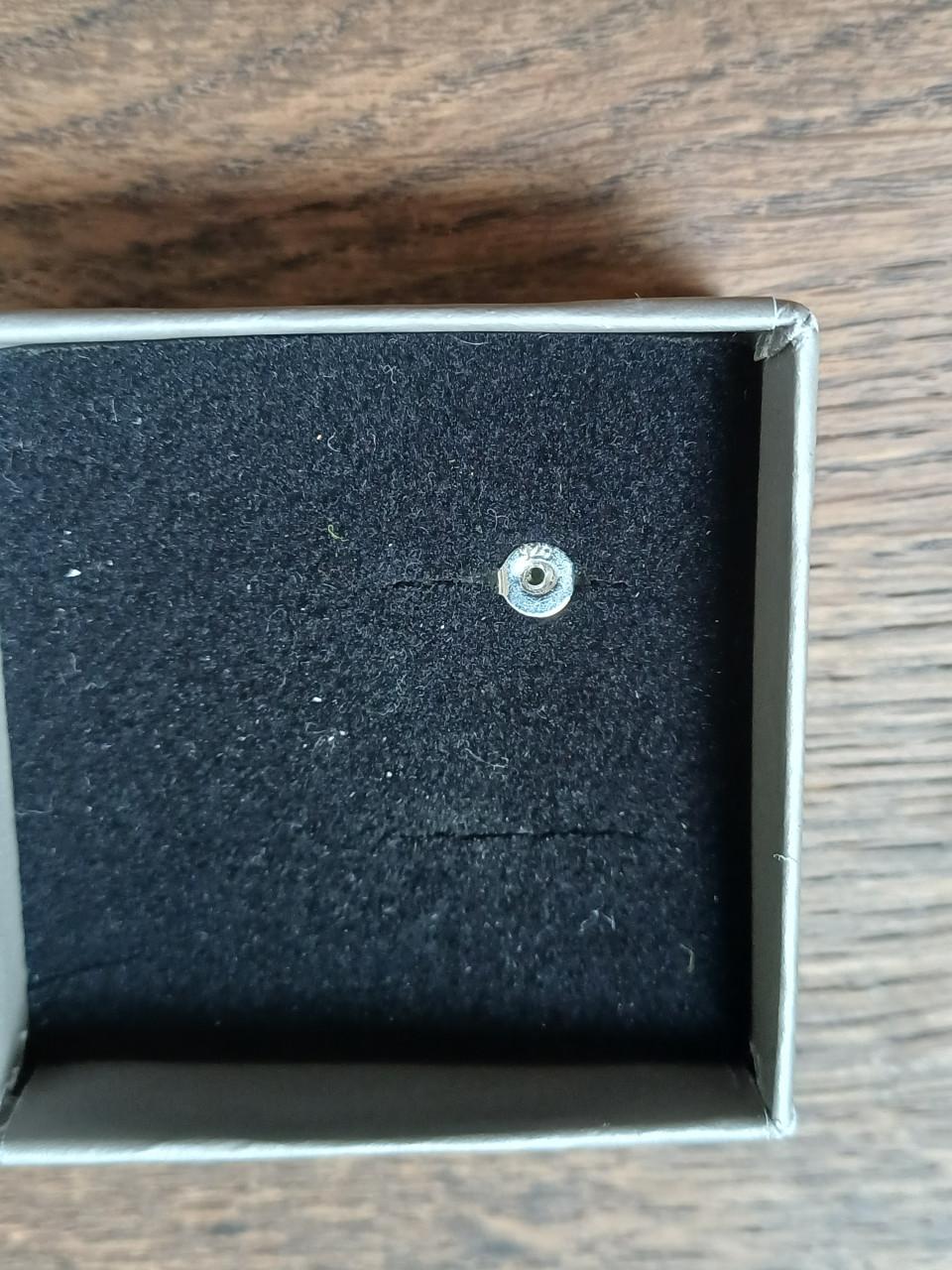 NIEUW: Zilveren Oorbellen/knopjes - 925 (Argent)