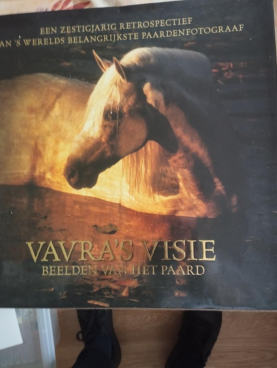 Boek Vavra's Visie