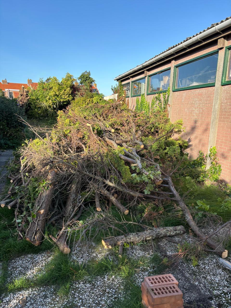 Gratis haardhout