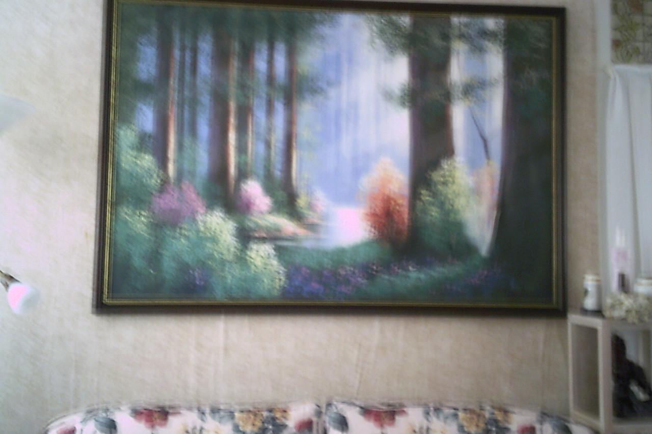 SCHILDERIJ . . . Boszicht . . . met mooie sierlijst