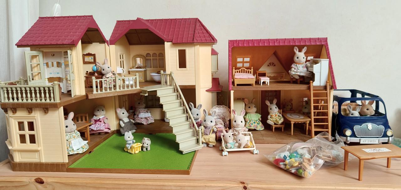 Grote set Sylvanian Families