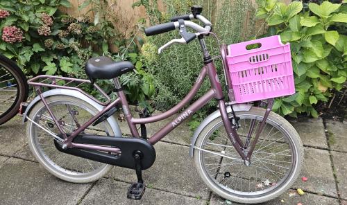 Alpina Cargo 20inch meisjesfiets z.g.a.n.
