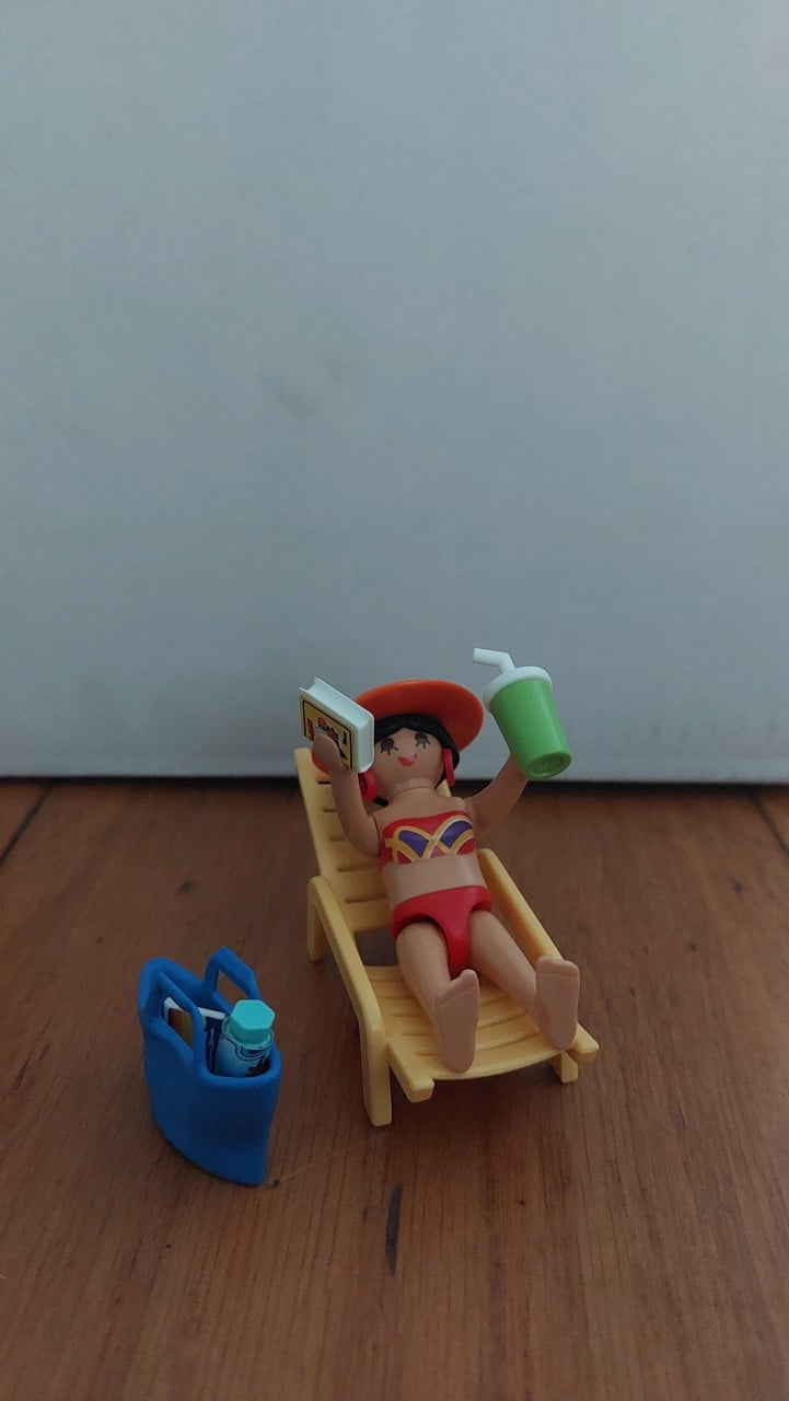 Playmobil ( van alles wat )