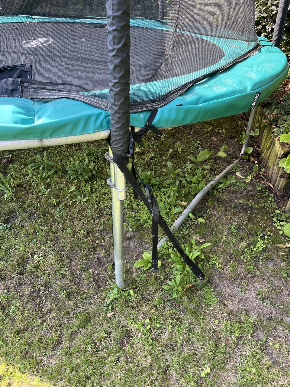 BERG Favorit Trampoline 330 cm met veiligheidsnet, ladder en ankerset