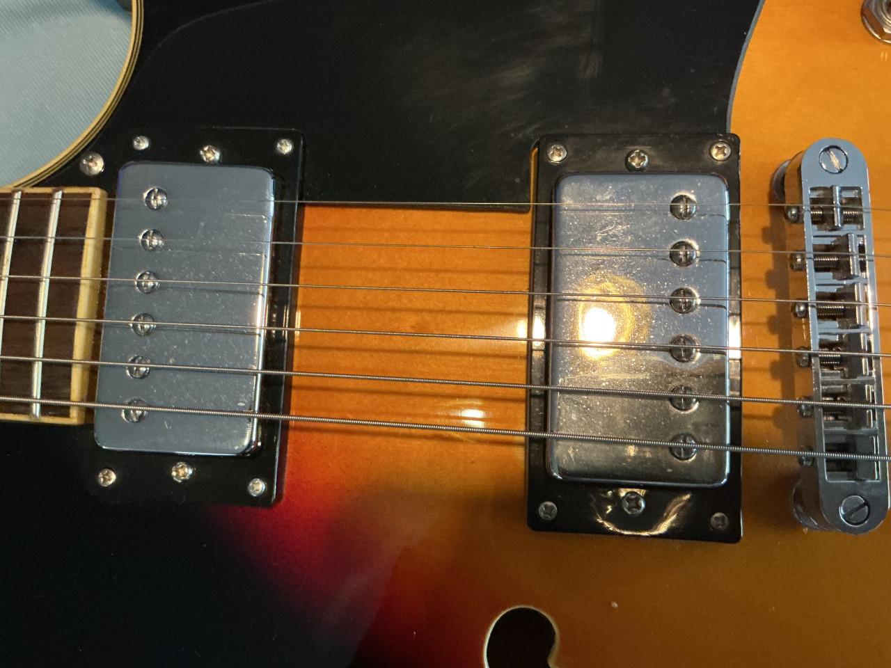 Resonance gitaar (zeldzaam) ongeveer 25 jaar oud (nog in nieuwstaat)