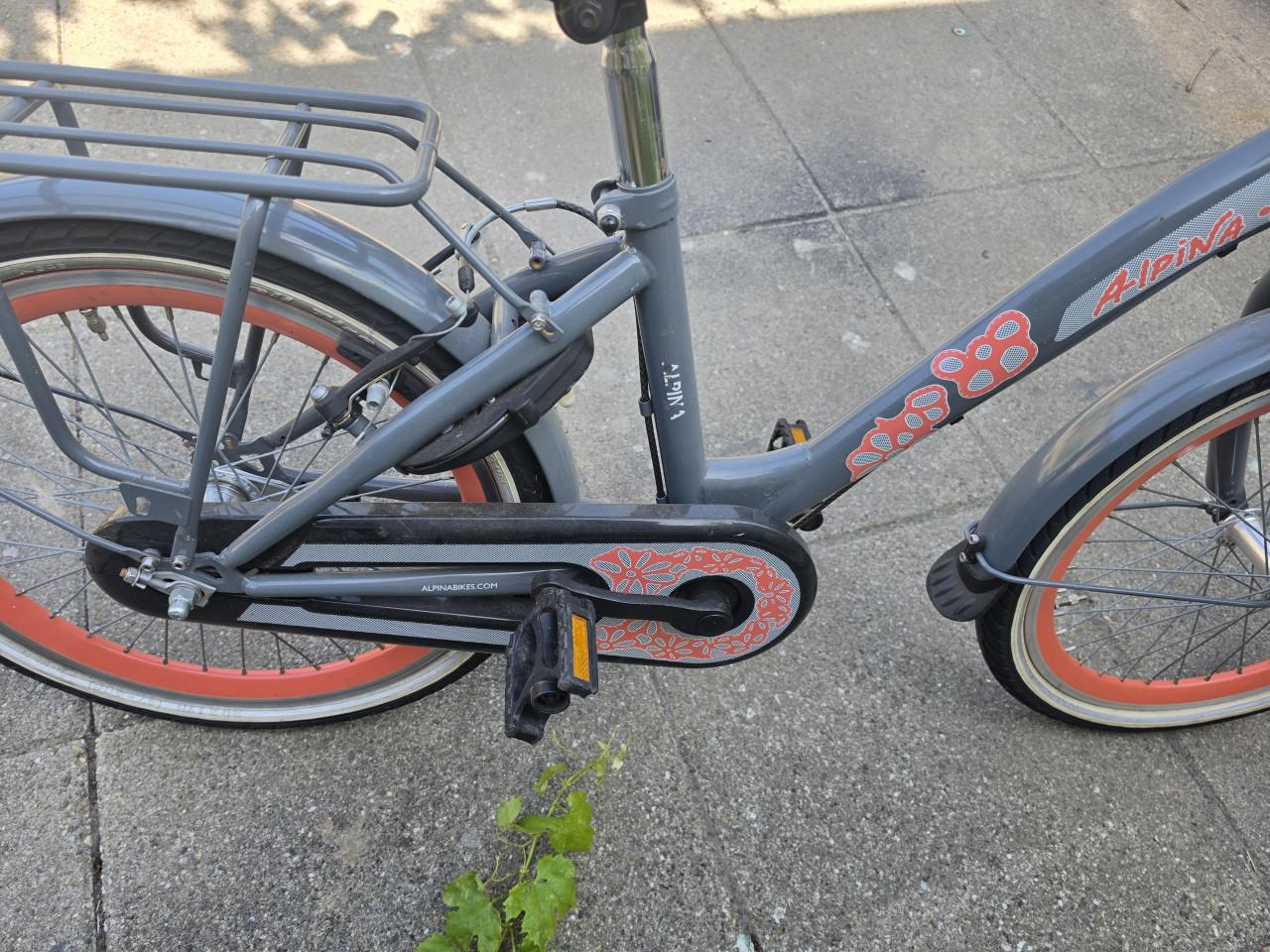 Meisjes fiets 6-9jaar