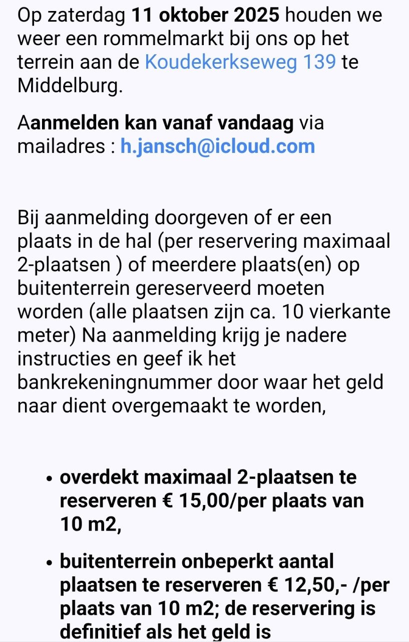 Grandioze rommelmarkt