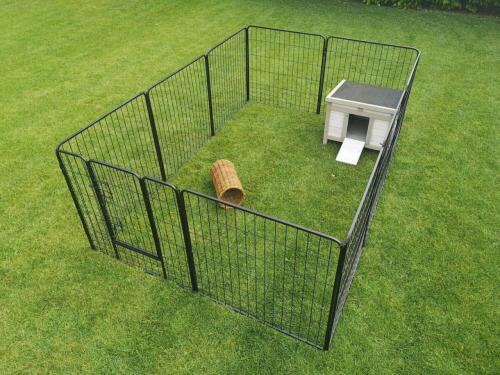 Gezocht: konijnen ren voor een schappelijke prijs