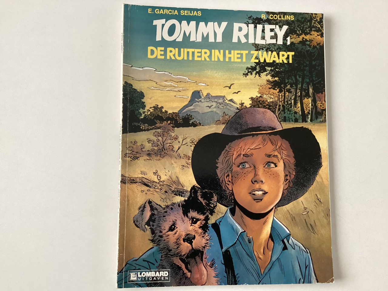 Verschillende stripboeken. Dan Cooper, Lambik, Smurfen, Tommy Riley etc.