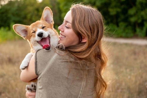 Dierenbenodigdheden voor honden, katten, knaagdieren, vogels en vissen