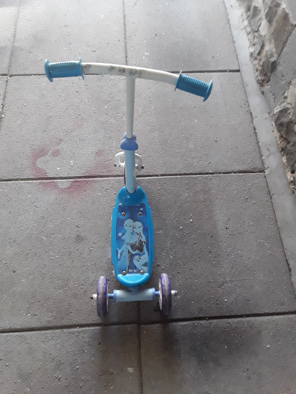 Te koop frozen stepje