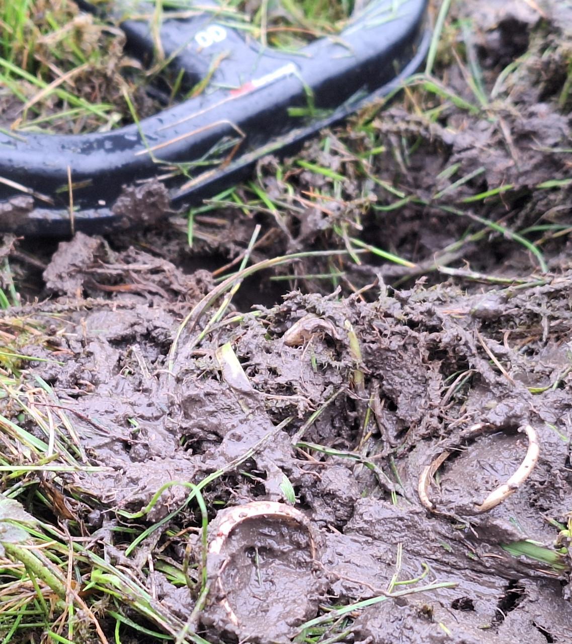 Iets kwijt of verloren? huur bij De Detectorshops krachtige metaaldetectors