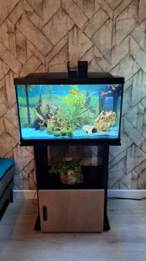 Aquarium Superfisch start 100