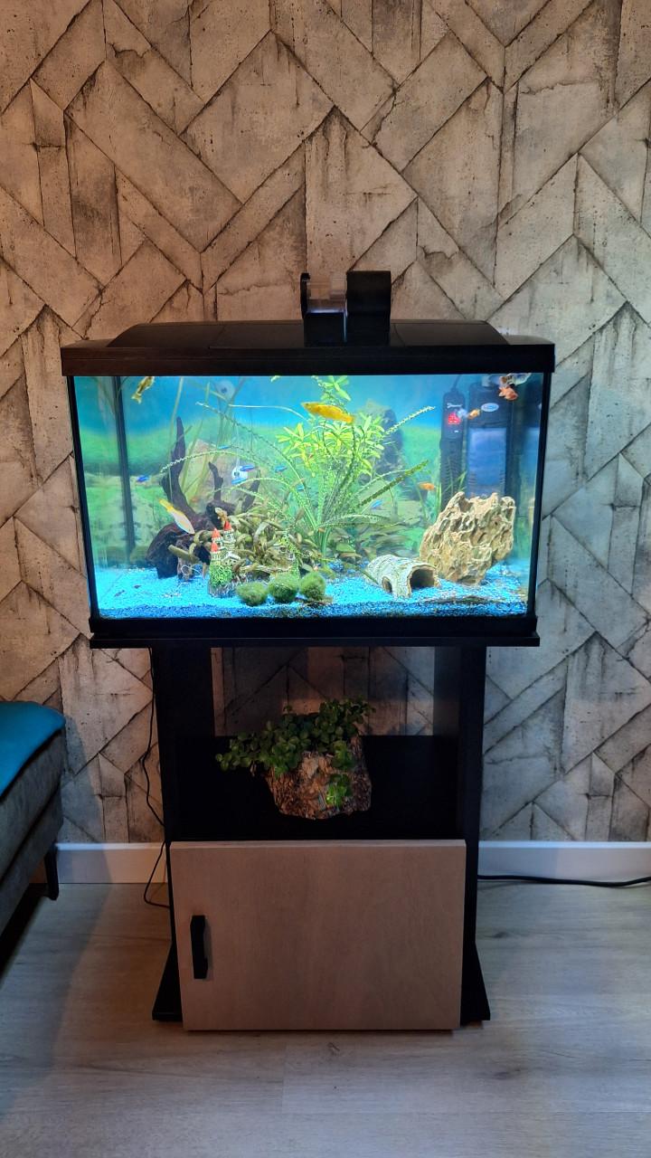Aquarium Superfisch start 100
