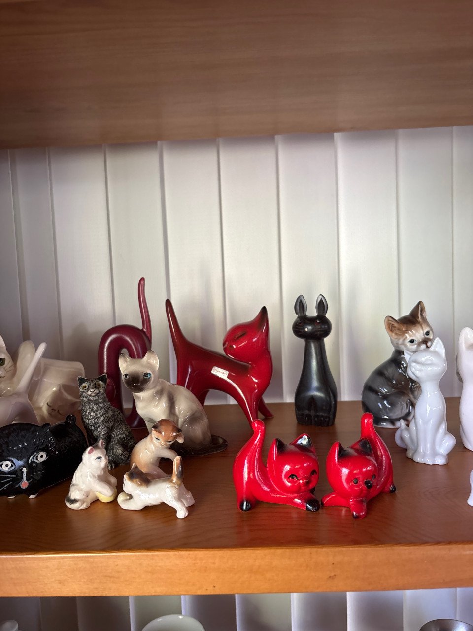 Kattenbeeldjes