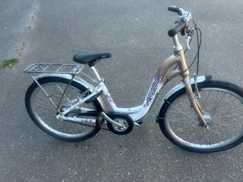 24inch kinderfiets 3versnelling skyride