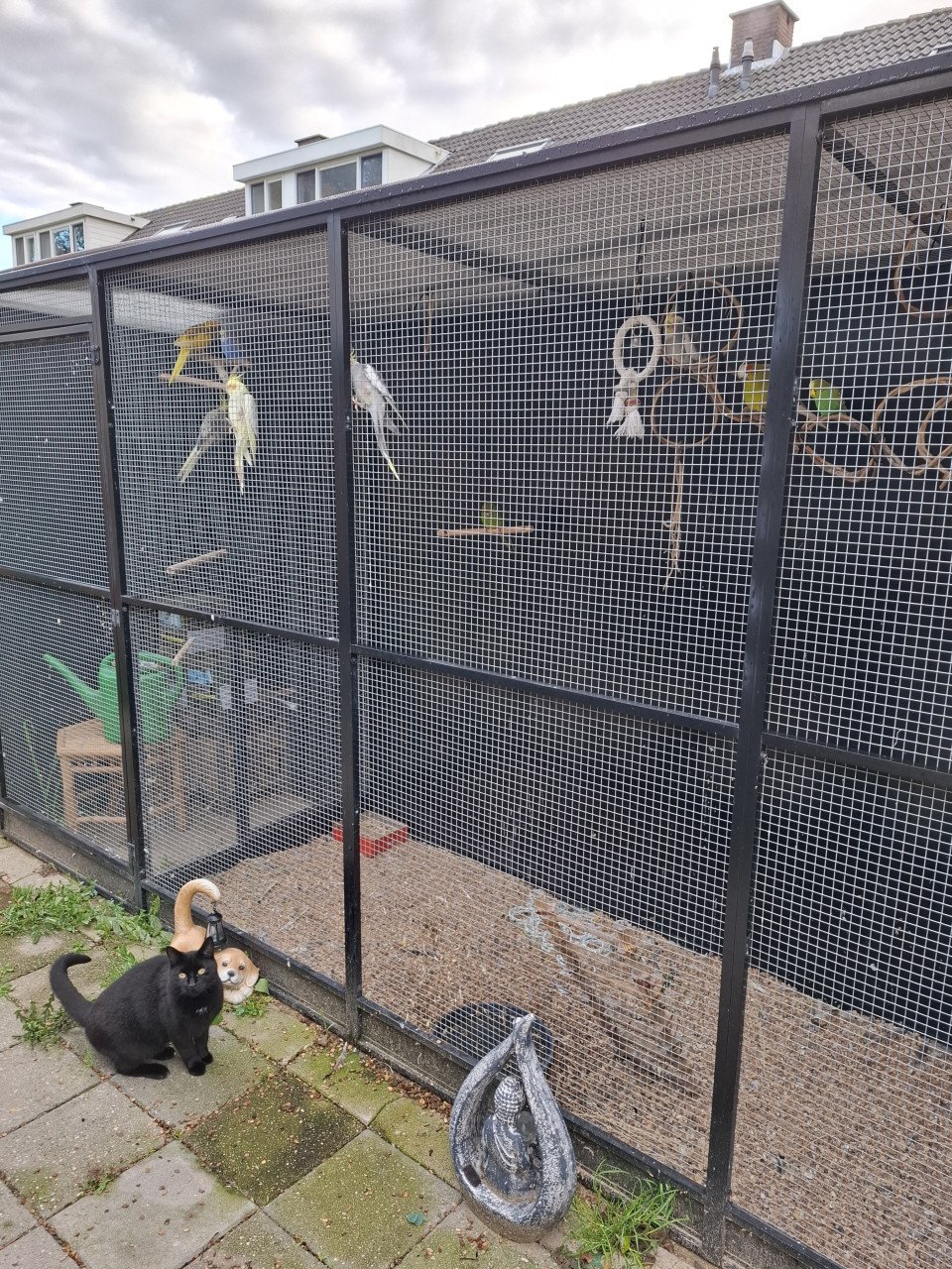 Volière plus vogels