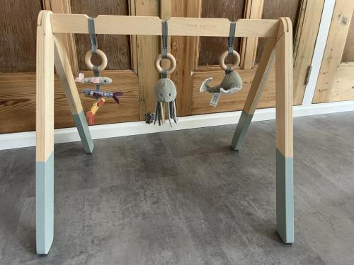 Baby gym little dutch