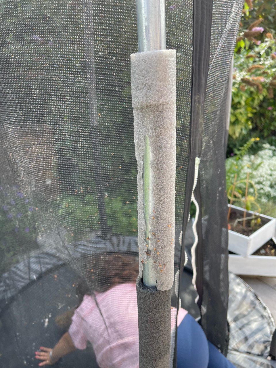 Kinder trampoline met veiligheidsnet