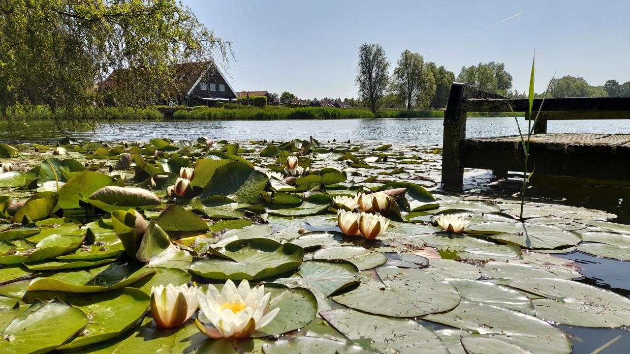 (TIJDELIJKE) woonruimte? Th. chalets op Stelleplas