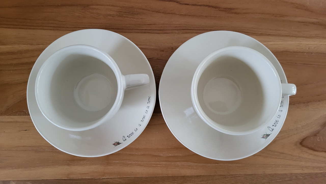 Set van 2 kop en schotels Jet servies A Rose is a Rose