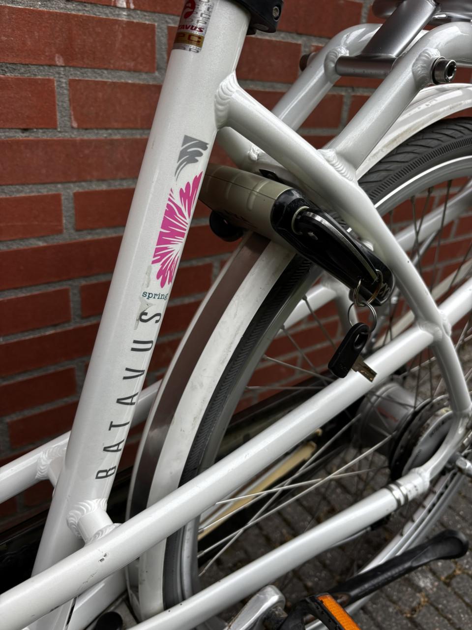 Batavus Mambo damesfiets – 28 inch | Framemaat 48 cm | 8 versnellingen 🚲