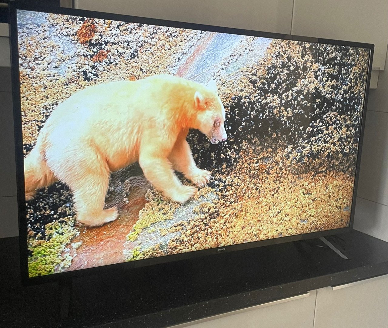 Philips 43HFL5014/12 Smart/Android 43 inch 109cm