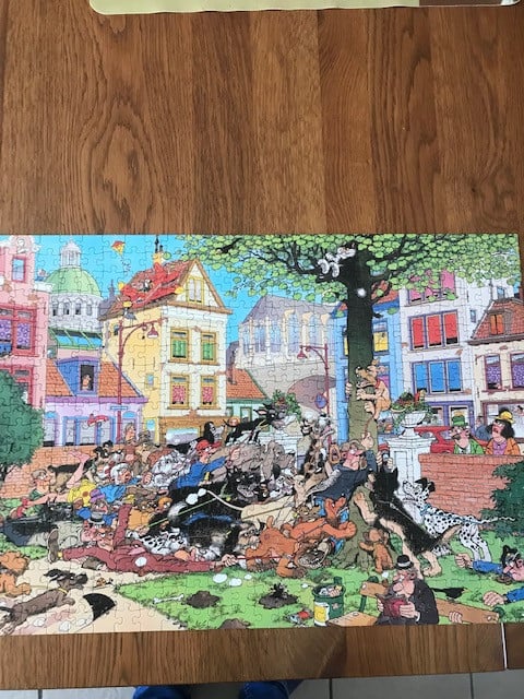 Van Haasteren puzzel