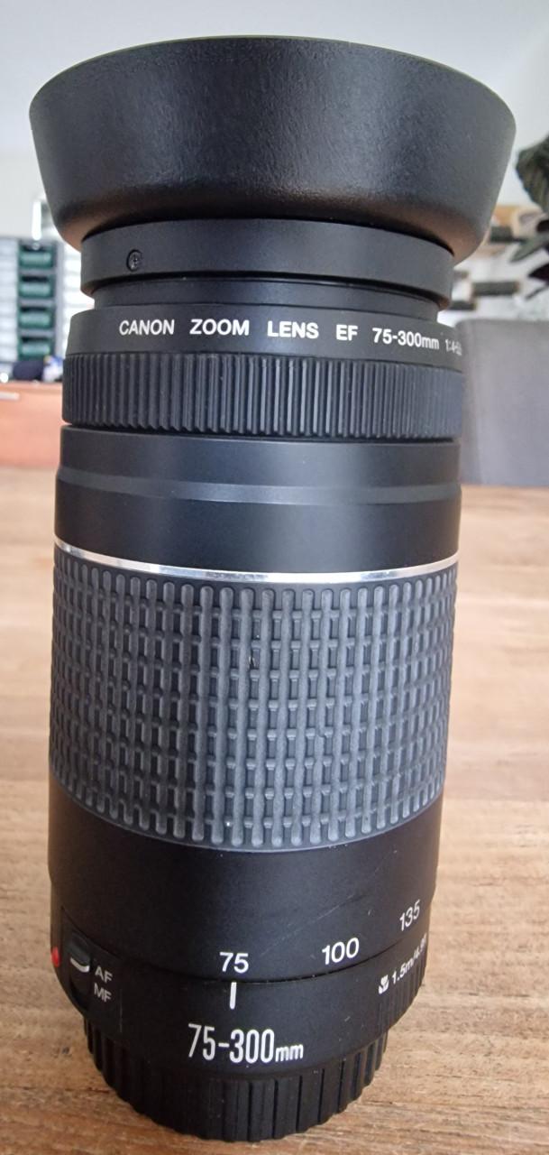 Canon EOS 550D met extra's