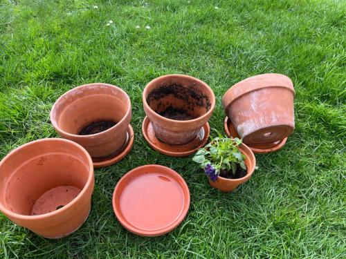 Aardewerken potten - alles in één koop