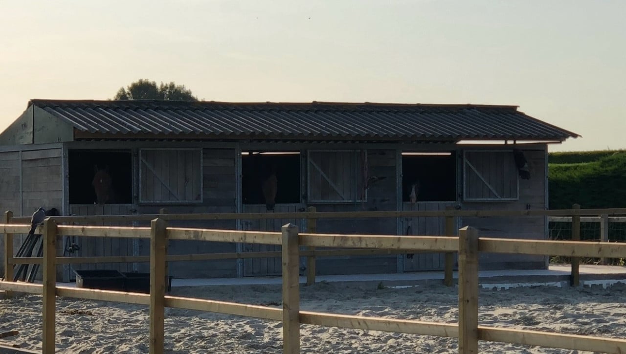 Topkwaliteit paardenstal 3x3 – Verplaatsbaar & direct inzetbaar