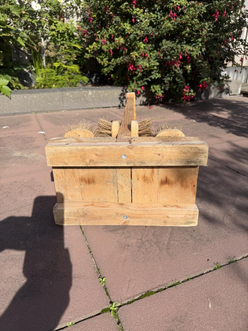 Schoenenborstel