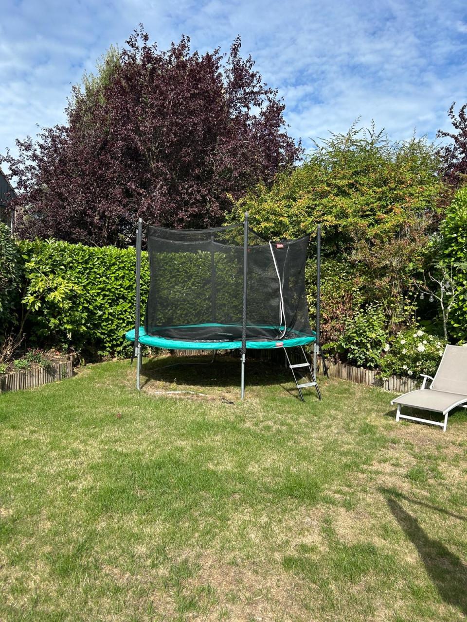 BERG Favorit Trampoline 330 cm met veiligheidsnet, ladder en ankerset