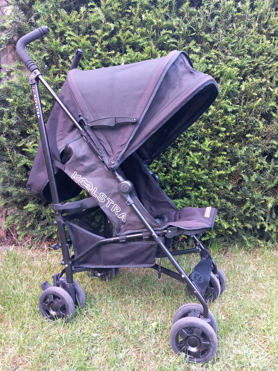 Koelstra Simba buggy